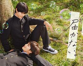 电梯下行海报剧照